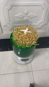 Máy làm giá đỗ gieo mầm tự động bằng điện 3 tầng Connie A323B Thiết Bị Gieo Mầm Bằng Điện An Toàn Máy Trồng Rau Mầm Tiện Lợi - Lazada