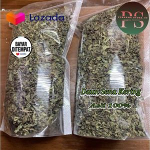 DAUN SENA PEMBERSIH USUS 100 GRAM KERING TEH DAUN SENA KERING