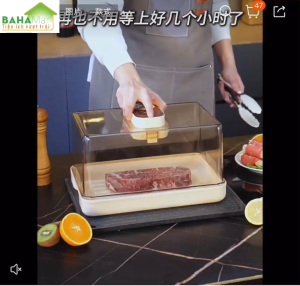 MÁY RÃ ĐÔNG ĐA NĂNG KHỬ TRÙNG – GIỮ TRỌN DINH DƯỠNG TIẾT KIỆM THỜI GIAN "BAHAMAR" rã đông nhanh – sạch – an toàn ngay tại căn bếp