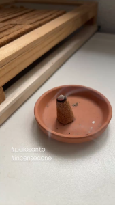 Earth Esprit Palo Santo Incense Cones Handmade Incense Cleansing Positive energy Calming All natural Plant Based