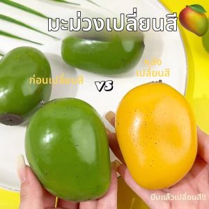JINGQING | Color Changing Stress Relief Slow Rebound Ball