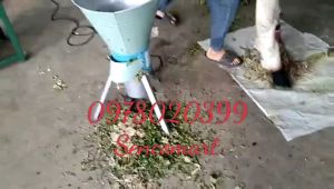 THANH LÝ MÁY BĂM RAU BÈO 550W