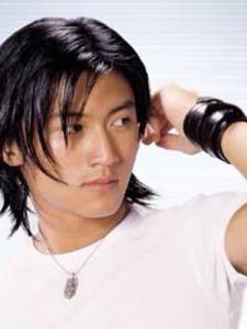 Nicholas Tse Star Imitation Sleeve Wig Men Mid-Length Long Hair Cool Annual Meeting Singer Performance Props Video Shooting