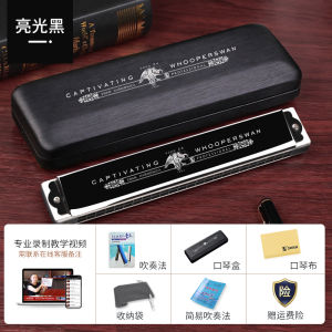 Swan Professional Harmonica 28 Hole 24 Hole C Tuned Adult Elite Music Instrument for Performance And Practice