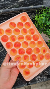 Khay nhựa làm đá viên đá bi tròn G01 thiết kế thông minh chất liệu bền bỉ an toàn sử dụng tiện lợi