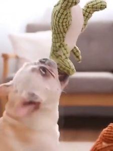 Đồ chơi cho Chó Mèo nhồi bông hình các con vật có kèn kêu (mẫu mới) - Love Pets Shop