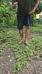 Cangkul Mini 34cm - Pegangan Karet Ergonomis Mata Besi Tajam Cocok Berkebun Sayuran & Pot