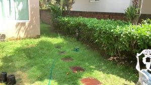 สปริงเกอร์ รดน้ำต้นไม้ หมุน 360 องศา Sprinkler watering plants 360สปริงเกอร์360 ตั้งพื้นรุ่นประหยัด หัวฉีดปรับมุมได้ ฐานวงกลม รดน้ำต้นไม้สนามหญ้า หัวต่อสวมเร็ว