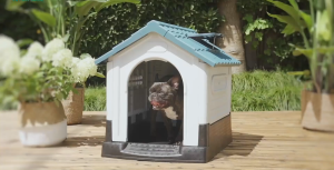 Dog House Outdoor Plastic Stray Cats Dogs House Durable Water Resistant Pet House with Adjustable Skylight and Elevated Base Pet House With Air Vents And Door