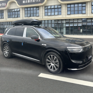 XINYUN | Stylish Bionic Design Car Roof Storage