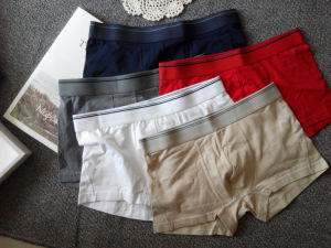 กางเกงบ็อกเซอร์เอวกลางผ้าฝ้ายบริสุทธิ์สําหรับผู้ชายระบายอากาศได้ยืดหยุ่นสูงขนาดใหญ่เซ็กซี่ชุดชั้นในสีขาว