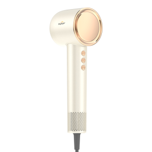 PASUODENG | Negative Ions Hair Care High Speed Fast Drying Low Noise Home Use Hair Dryer