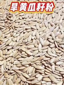 Raw and Cooked Cucumber Seed Powder