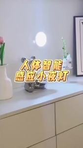 Motion Sensor LED Night Light 6LED 10LED USB Rechargeable Cabinet Lamp Wireless Battery for Kitchen Closet Wardrobe Hallway