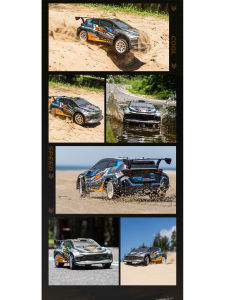 High-speed Full Proportion 4WD Oil Damped RC Car