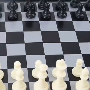 Portable Chess Board Set Travel Game Magnetic Foldable Chess Set for KidsWith Durable Plastic Pieces