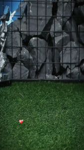 Giày Thể Thao Nam Casual Mùa Hè Mẫu Mới 2023 - Thoáng Khí và Phong Cách