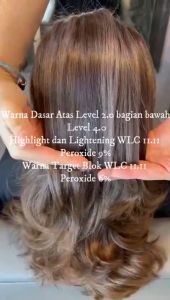 HAIR COLOR CREAM WLC BREMOD 500ML | PEWARNA RAMBUT