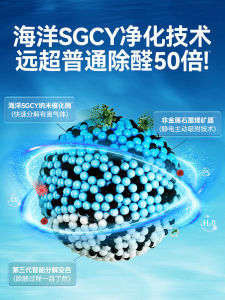 Active Carbon Charcoal Bags for Home And Car Decoration Strong Absorption of Formaldehyde Manganese Dioxide Indoor Air Purifier