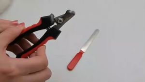 Pet World Stainless Steel Pet Nail Clipper Trimmer Cutter with Nail File Set (Large) for Dog & Cat