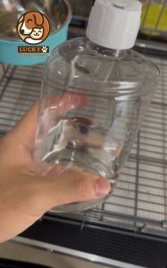 Tempat Minum Kucing Anjing Gantung Otomatis Dispenser Water Murah