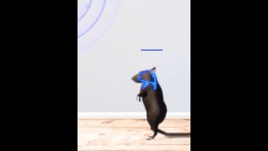 【Hot sale】Electronic mosquito repellent household intelligent radiation-free rodent killer lamp