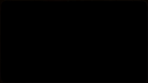 Harmonika Harmonica Diatonic Hohner The Beatles