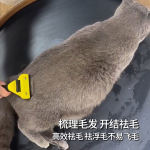 Lovinland Cat Hair Cleaning Brushes Non Slip Handle Push To Remove Pets Dog Hair Remover V-shaped Comb Teeth Pet Hair Clipper Grooming Comb Knotting Comb