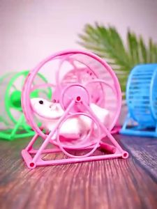 Mainan Hamster Jogging Wheel Kincir Treadmill Guinea Pig Sugar Glider Rolling Hamster Tersedia 3 Warna Kincir Termurah Bisa cod Dan Grosiran