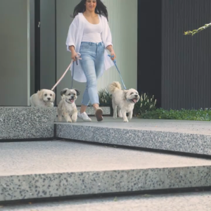 FuzzYard LIFE Dog Luxurious Collar with Adjustable Sizing Slider | Available in 5 Trendy Colors