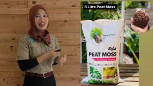 Baba Peat Moss Soil Mix Organic (25 Litre) For Vegetable Flower Herbs / Lumut Gambut - Tanah Bunga/ Herba / Sayur2an