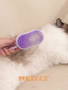 Electric Spray Bath Brush Pet Grooming Comb Cat Dog Soft Bristle Massage Tool for Bathing And Hair Removal
