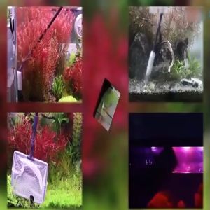 Aqua Tools Aquarium Cleaning Set 5in1 Tongkat Cleaner Alat Pembersih Kaca Scraper Aquascape Yamano