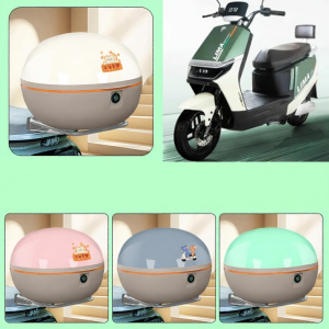 Decorative Storage Box for EV