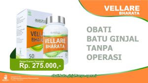 Vellare Bharata - Obat Batu Ginjal - Batu Empedu Paling Ampuh