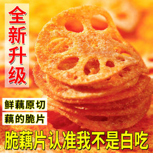 Crunchy Lotus Root Snacks 6 Flavors Delicious Treat for Watching TV Crispy Light Bites from Anhui Province China 48g Bag