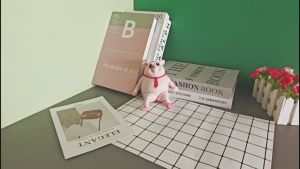 Piggy Stress Relieving Toy 3D Animal Funny Pig Man Sensory Stress Toy Anxiety Relief Autism Disorders