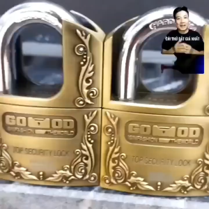 Ổ Khóa Chống CắtChống Trộm Hàng Cao Cấp-Chất Liệu Hợp Kim Gang Nguyên Khối
