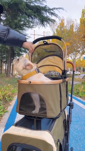 Double Layer Pet Stroller Detachable Dog Carrier Cat Trolley 4 Wheels Foldable Large Space for 2 Pet
