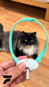 Mainan Kalung Laser Kucing Anjing Otomatis LED Rechargeable Arah Putar Acak Interaktif Tanpa Pegang Anti Bosan