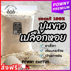 ปูนขาวเปลือกหอยแท้ 1 กิโล ขายส่ง ฆ่าเชื้อรา โรยเล้าไก่ แก้ปัญหาใบงอ ใบหยิก รากเน่า เพิ่มแคลเซียม