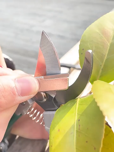 Pengasah Pisau Genggam Mini Serbaguna Alat Asah Gunting Kapak Pisau Dapur Pocket Sharpener Porteble Praktis Anti Selip