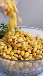 GGYY630 เครื่องทำน้ำเต้าหู้ เครื่อง​โม่น้ำเต้าหู้แยกกาก รับ​ประ​กัน​มอเตอร์​ทองแดง​แท้​100​%พร้อมโอเวอร์โหลดในตัวครับ