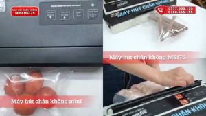 Máy hút chân không mini NEWSUN MS175 thổi khí hàn miệng túi và cắt túi đa năng