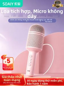 soaiy | Wireless Bluetooth Microphone Speaker for KTV Family Use