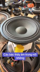 LOA TRỢ LỜI 17 JB LOA TRUNG KÍN 16 LOA MID 16 ĐƯỜNG KÍNH TOÀN VÀNH 17.5CMLOẠI CAO CẤP -GIÁ 1 LOA