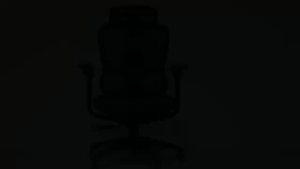 Ergoseat - [FREE ASSEMBLY] Nexus Premium Mesh Ergonomic Executive Chair Spinal Support with 360-Degree Lumbar Rotation Computer Chair Study Chair
