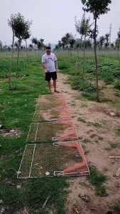 Lồng Mẹt Vuông Bẫy Gà Chim Bìm Bịp Bồ Câu Cu Gáy... Khung Thép Chắc Chắn - Hiệu Quả 100%