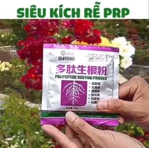 Kích Rễ PRP Trung Giúp Cây Ra Rễ Cực Mạnh Hồi Phục và Phát Triển Bộ Rễ và Thúc Đẩy Bật Mầm Nhanh Chóng