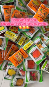 Hạt Giống Hoa Vạn Thọ Mỹ F1 Cao Lỡ Vàng Chanh Nhụy Xanh B2-Pro KING (Rồng Vàng) (Gói 1gr)